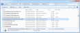Config File